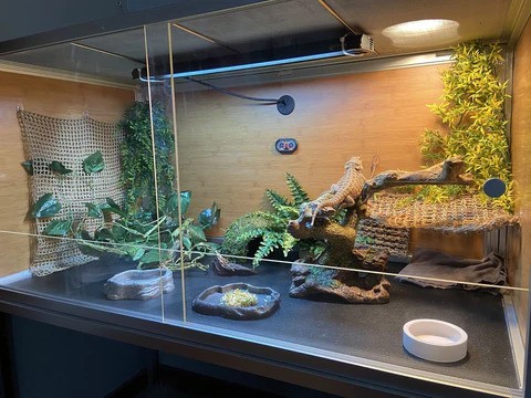 Are There Any Downsides to Using Slate Tiles?