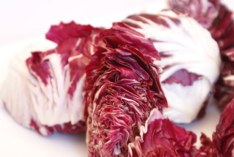 Can Bearded Dragons Eat Radicchio