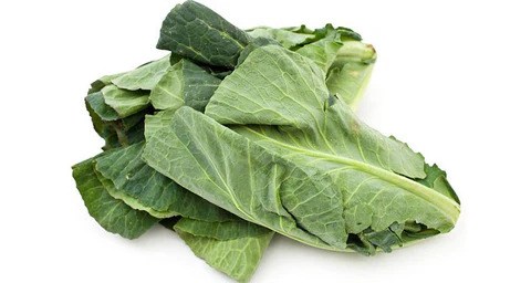 How to Feed Cabbage to Bearded Dragons