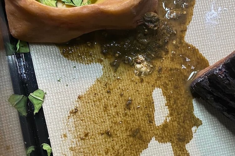 Unhealthy Bearded Dragon Poop